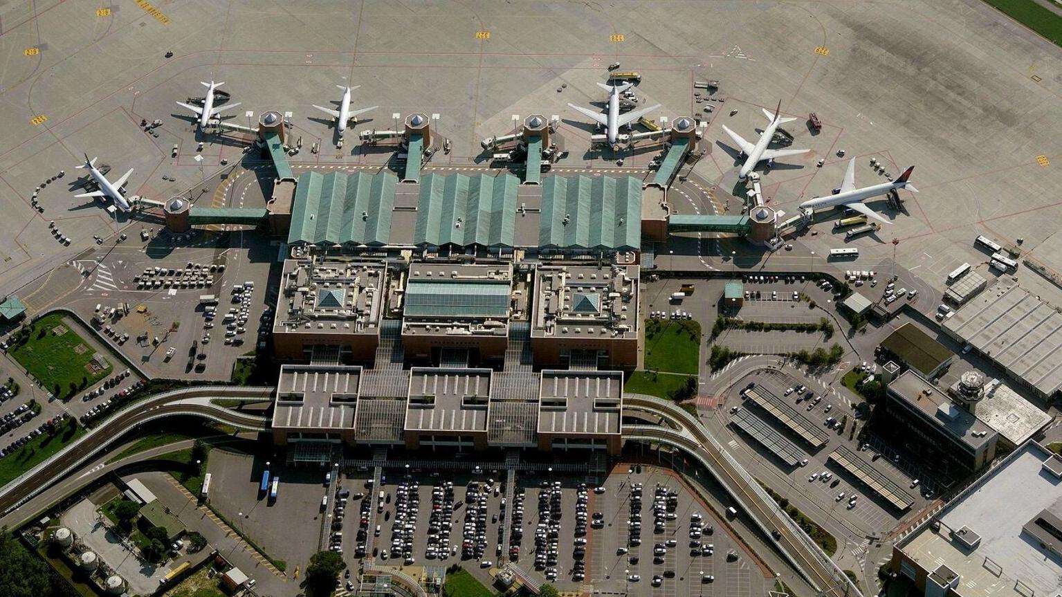 Seagulls close Venice airport